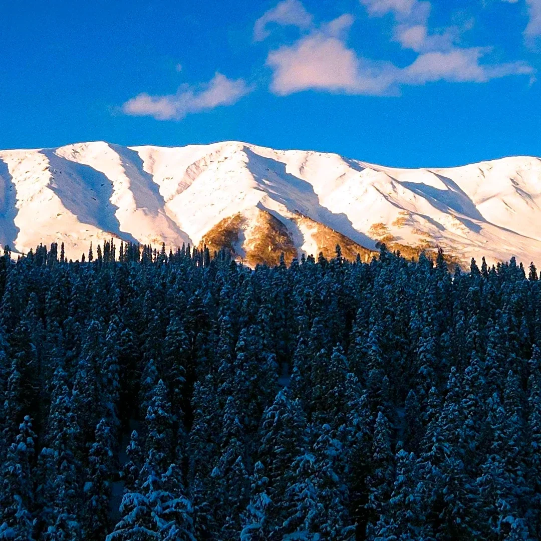Snowfall Reported on Mt. Mitchell in Yancey County, North Carolina