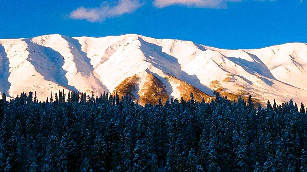 Snowfall Reported on Mt. Mitchell in Yancey County, North Carolina