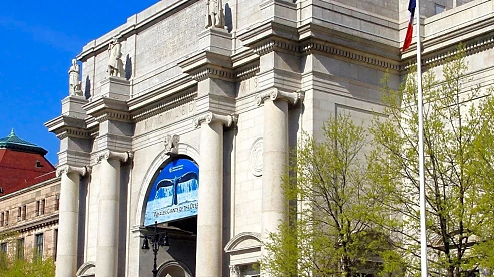 Peter Kuper's 'Monarch's Journey' Exhibition Opens at American Museum of Natural History