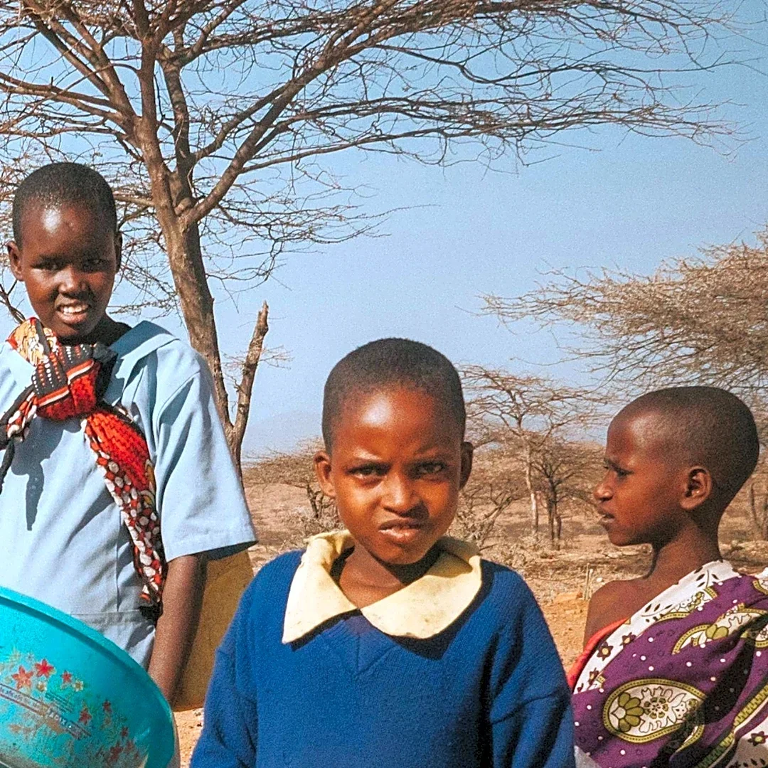 Ethiopian Toddlers Face Widespread Dietary Deficiencies, Meta-Analysis Reveals