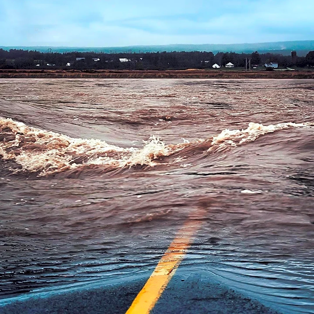 Coastal Storm Expected to Bring Flooding and Beach Erosion to Mid-Atlantic