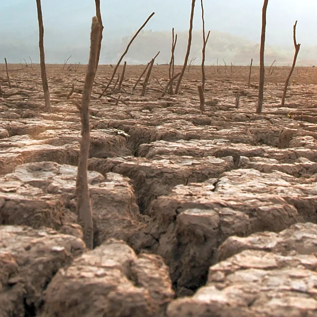 El Niño Contributed to Devastating Global Famine from 1875-1878, Causing Millions of Deaths