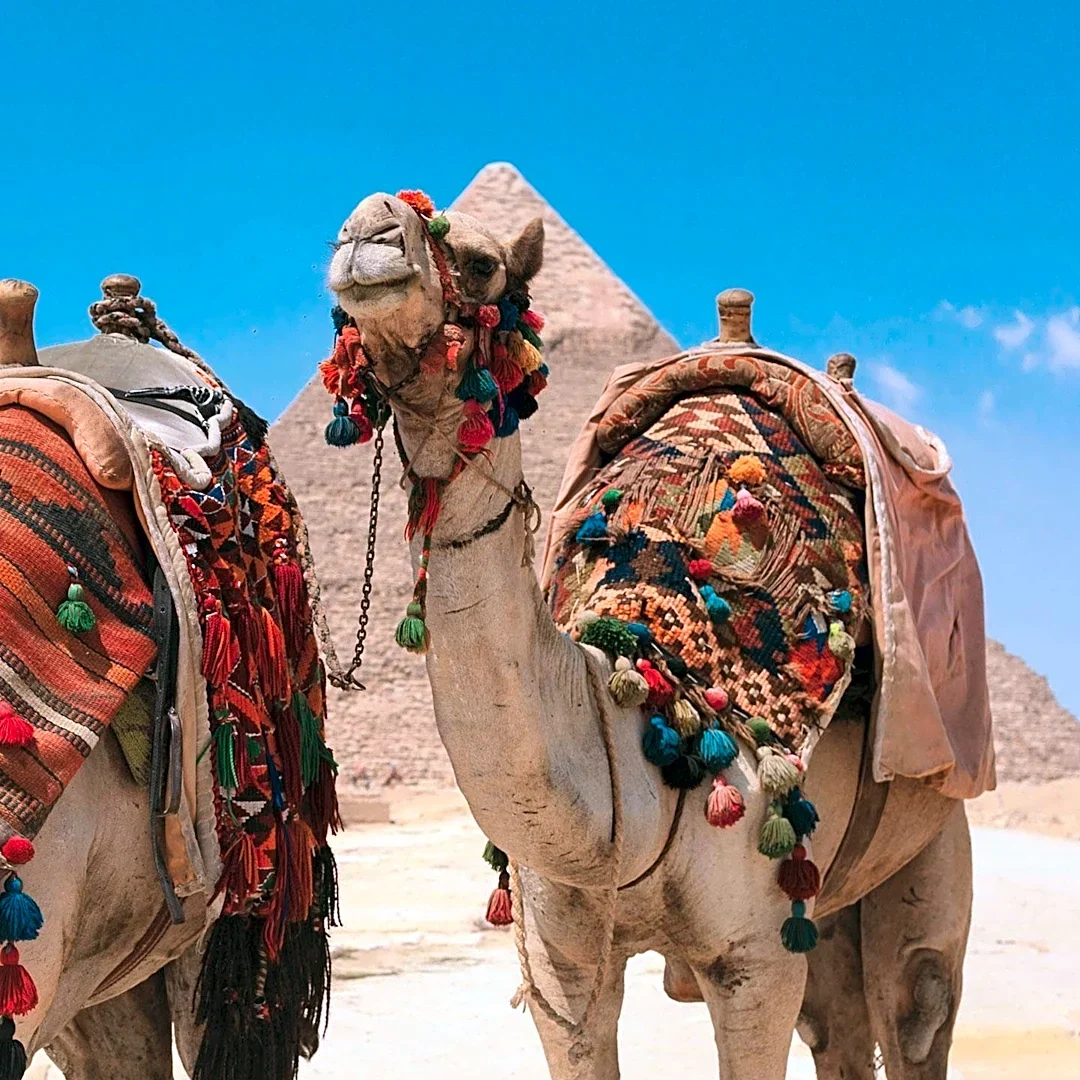 Sinai Compass Offers Guided Mount Sinai Tours for Solo U.S. Travelers