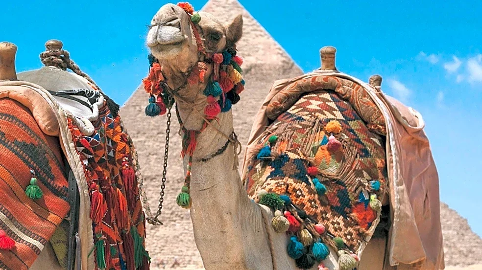 Sinai Compass Offers Guided Mount Sinai Tours for Solo U.S. Travelers