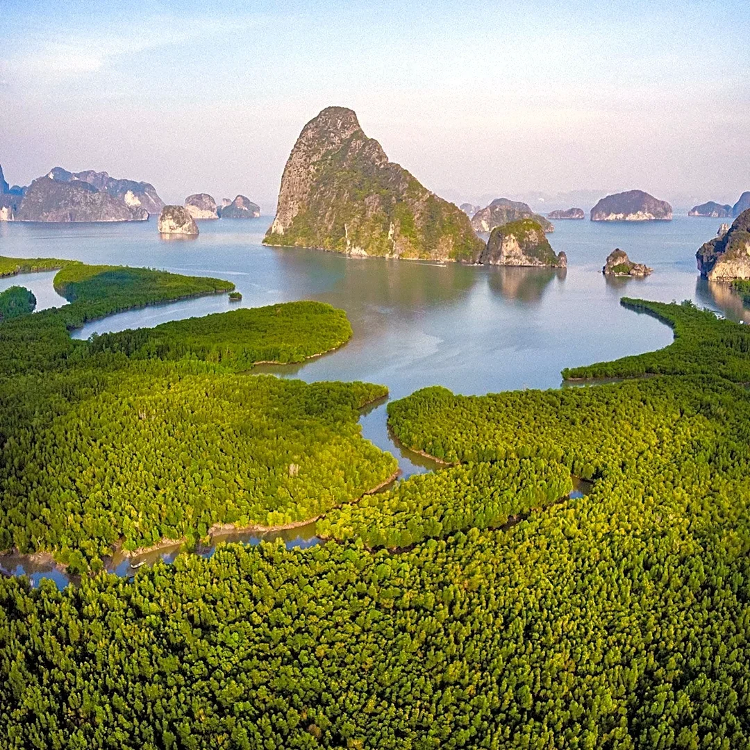 Philippines Sees Increase in Mangrove Cover Over Four Decades