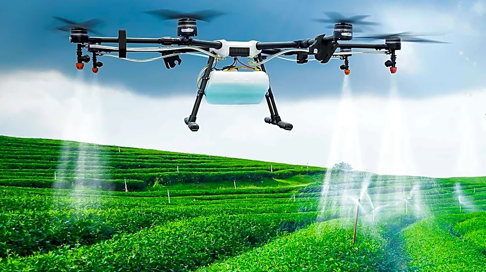 UN Technology Bank Seeks Agricultural Experts for Remote Consultant Roster
