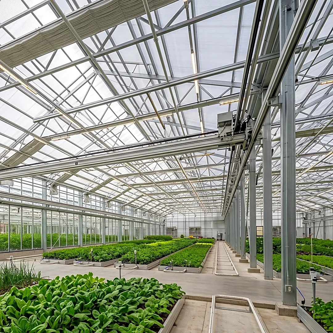 USDA Awards Michigan State University Over $16.2 Million for Greenhouse Renovations