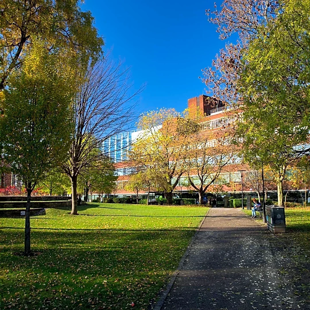 West Lafayette Experiences Mild Fall Weather with Abundant Sunshine