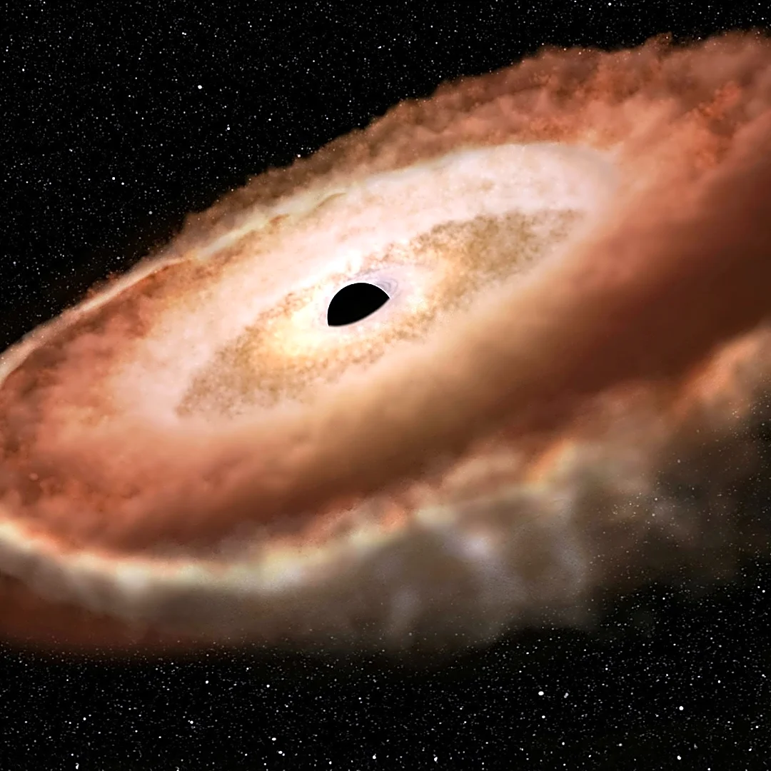 Astronomical Study Identifies 'Homebody' Black Holes in Galaxy Evolution