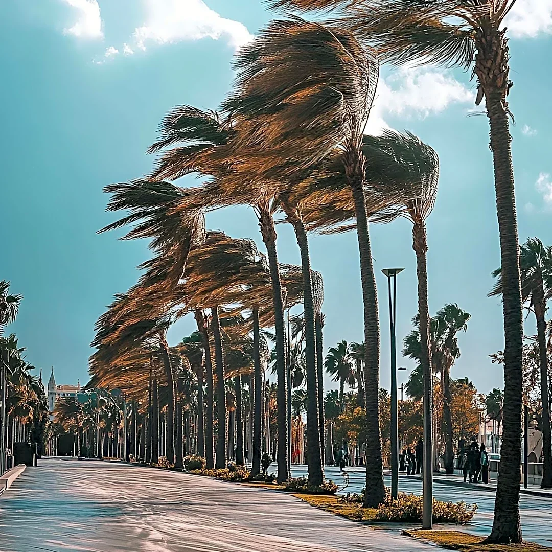 South Florida Experiences Windy, Dry Conditions Ahead of Autumnal Weather Shift