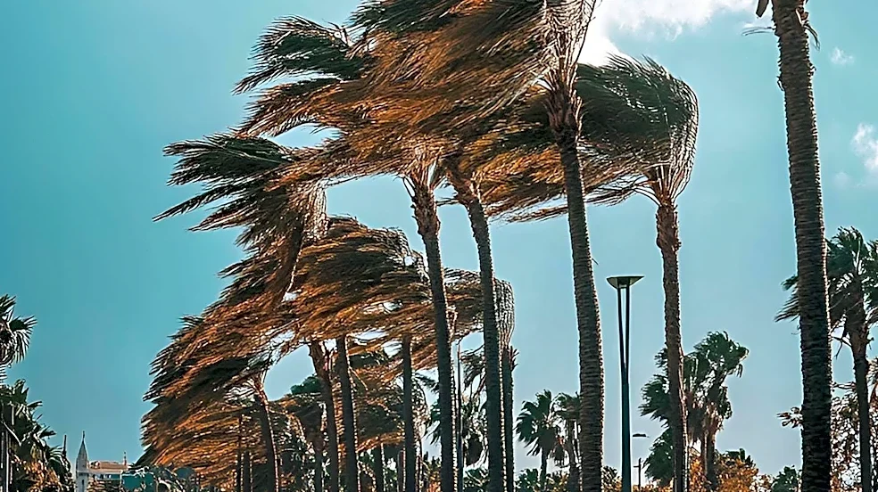 South Florida Experiences Windy, Dry Conditions Ahead of Autumnal Weather Shift