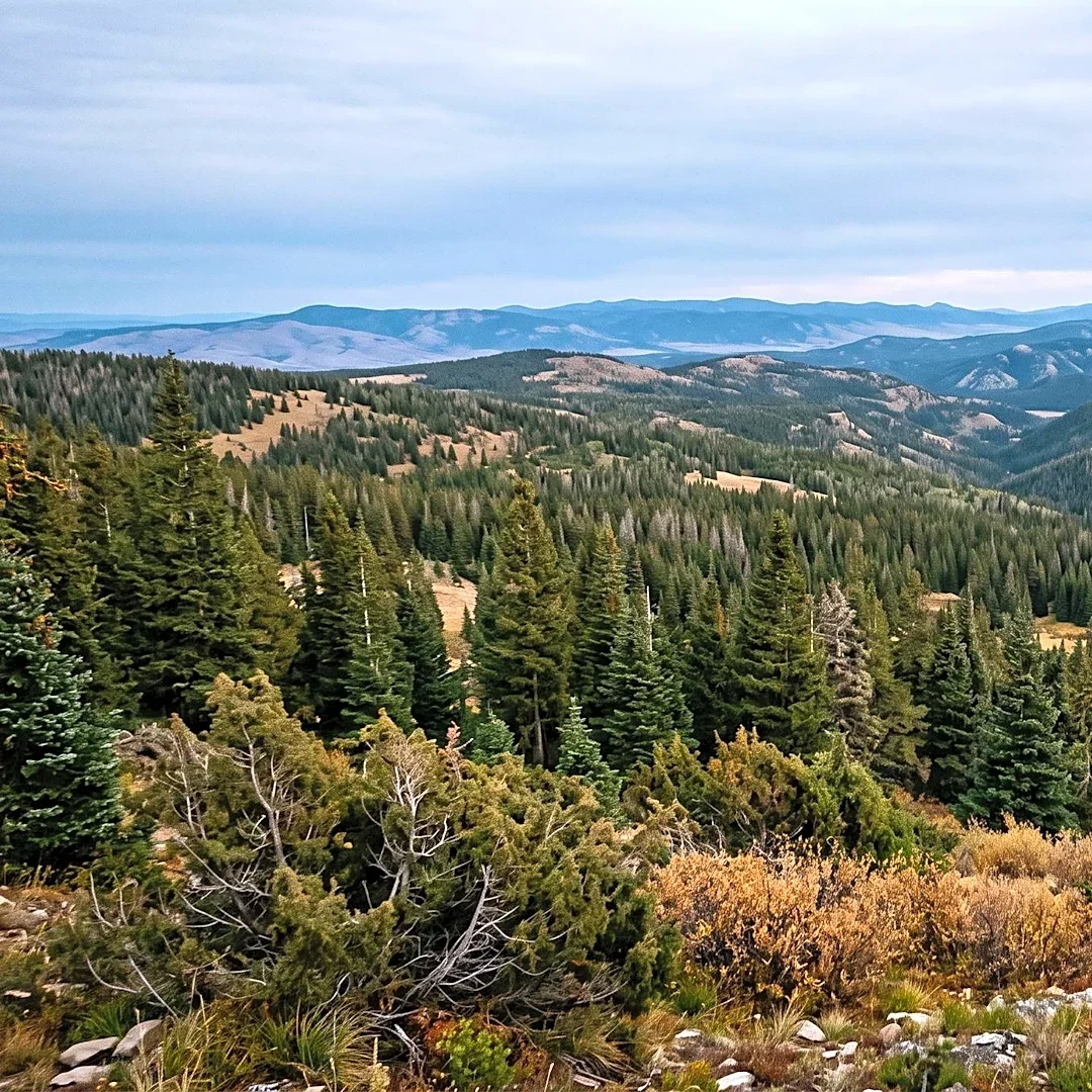 U.S. Forest Service Plans Prescribed Burns in Wyoming as Temperatures Drop