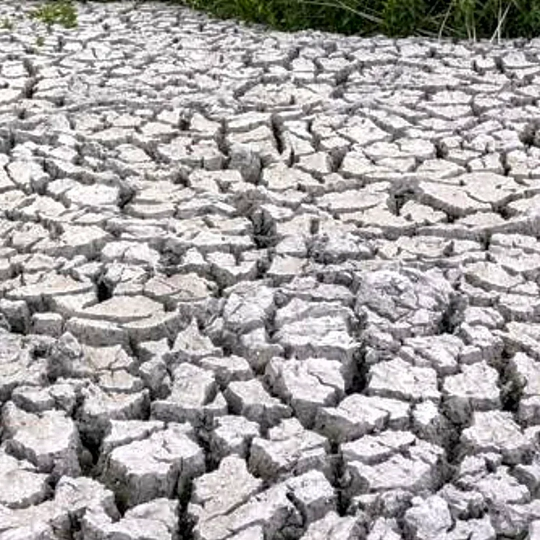 S Global Analysis Warns of Impending Global Food Crisis Driven by Energy Shocks and El Niño