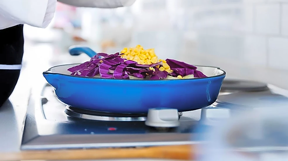 Cooking Hypothesis Links Food Preparation to Human Brain Evolution and Social Development