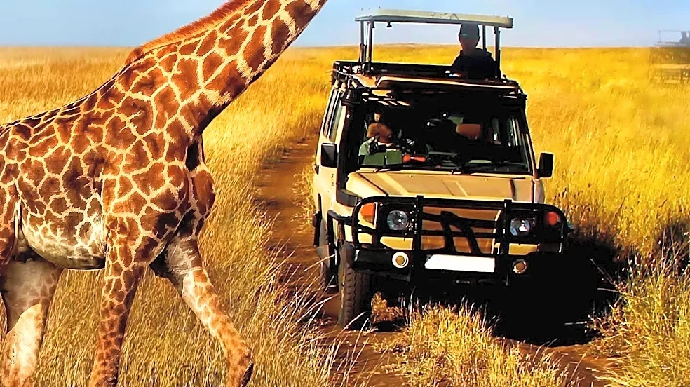 Serengeti National Park: A Premier Wildlife Destination in Tanzania
