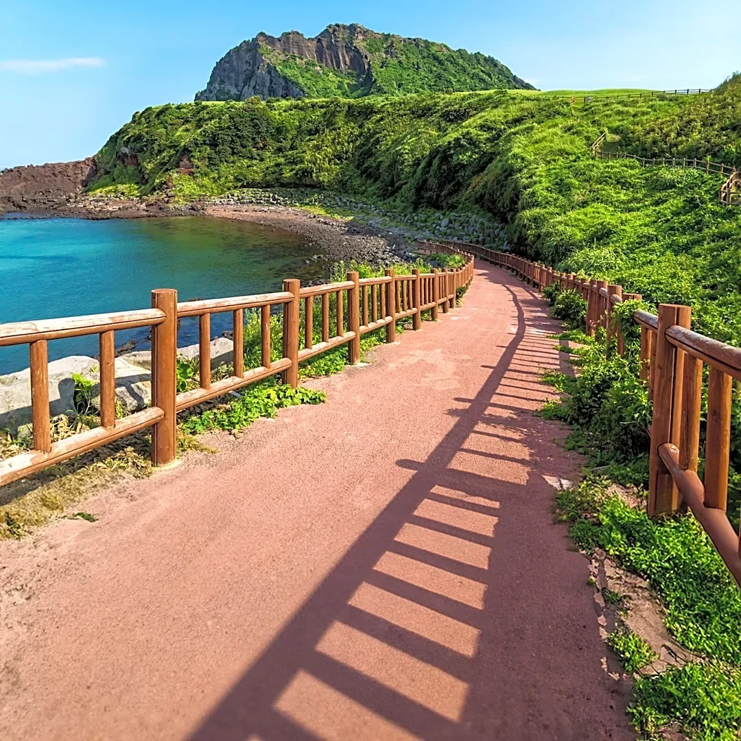 Jeju Island Bids to Host 2028 G20 Summit, Gaining Support from Overseas Residents