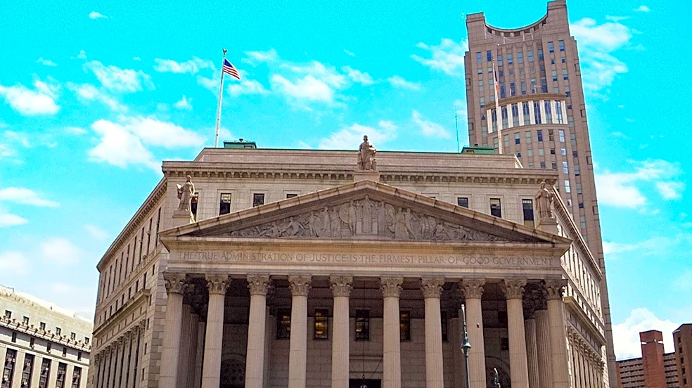 Family Attorney Liberty Aldrich Pioneers Access to Justice in New York Courts