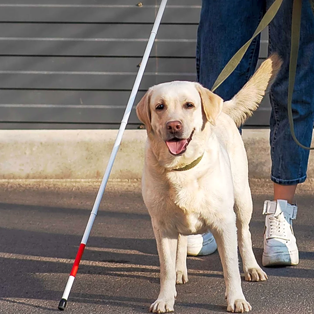 Canes Canines Group and LAPD Officers Observe White Cane Awareness Day in Los Alamos