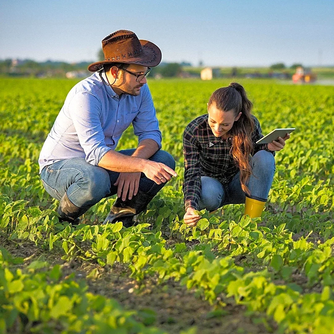 CCOF Foundation Offers Technical Assistance to Organic Farmers for Soil Health and Certification