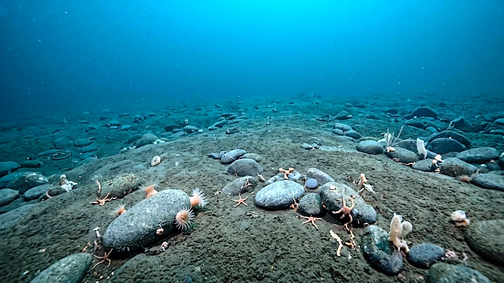 Alaska Native Leaders Call for Moratorium on Seabed Mining in Federal Waters