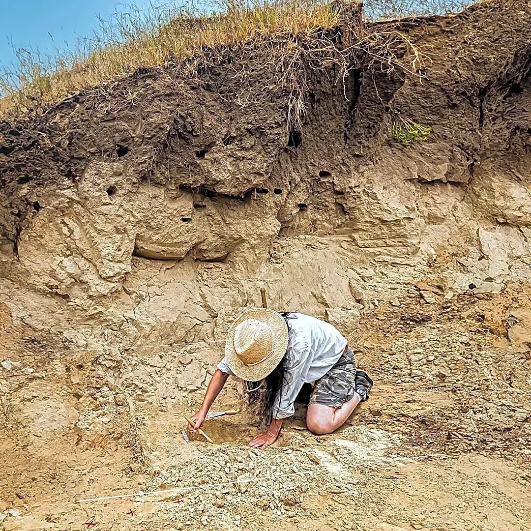 Illinois State Anthropologist Identifies Burial Site of First Black Man to Vote in Illinois