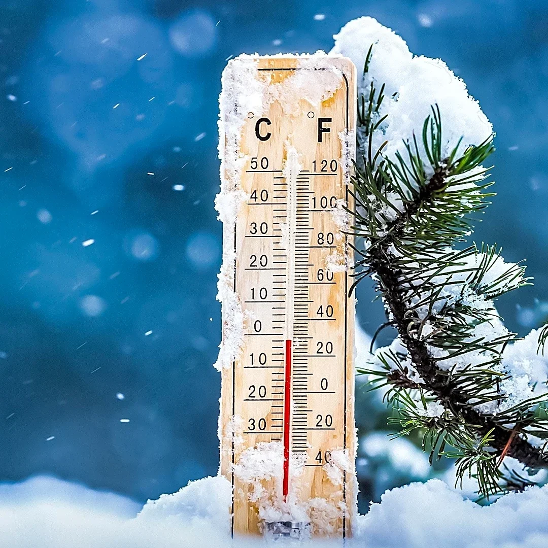 Cold Temperatures May Slow Aging and Prevent Disease by Activating Metabolic Network
