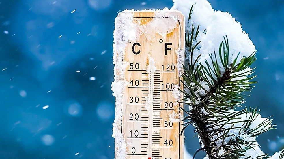 Cold Temperatures May Slow Aging and Prevent Disease by Activating Metabolic Network