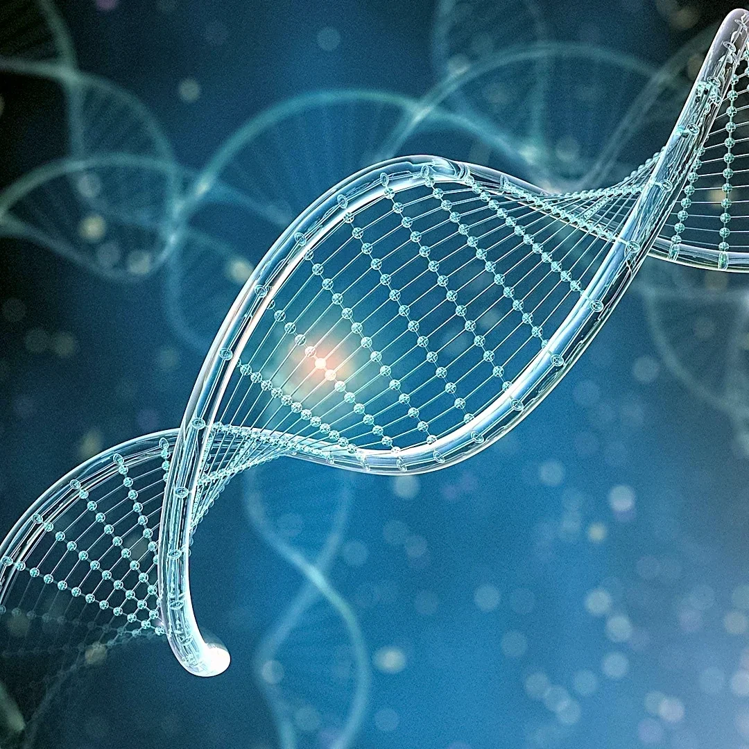 Blood Fat Levels Linked to DNA Methylation Marks in Korean Adults, Replicating Earlier Findings