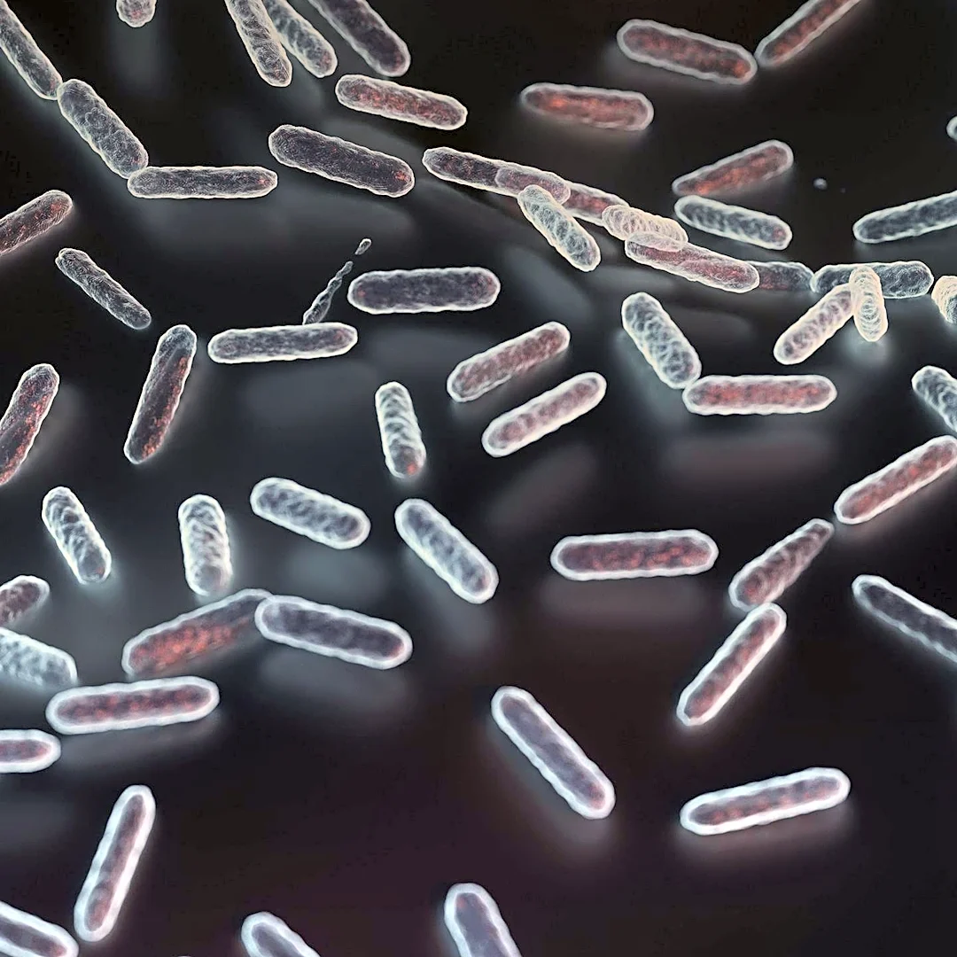 New Insights Emerge on Postbiotic Supplements for Gut Health