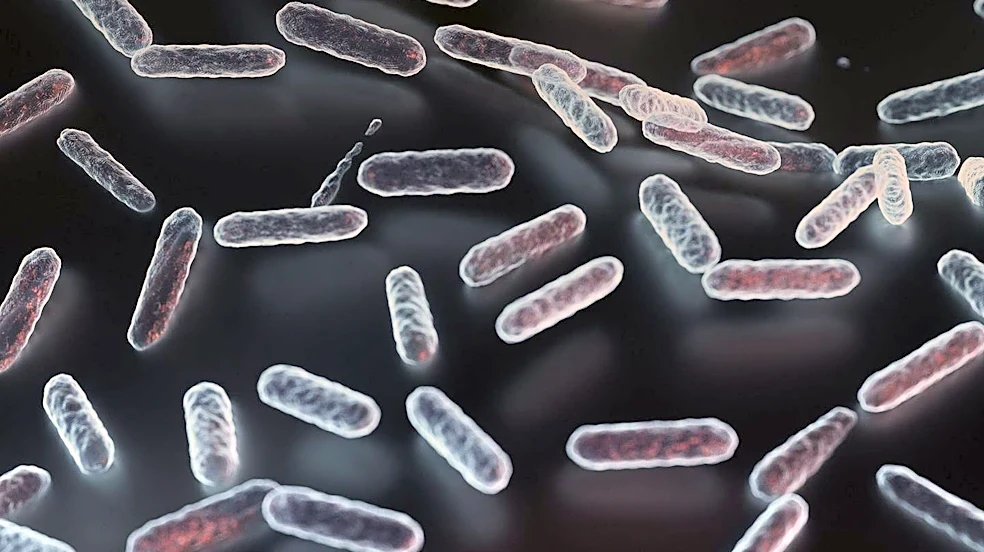 New Insights Emerge on Postbiotic Supplements for Gut Health