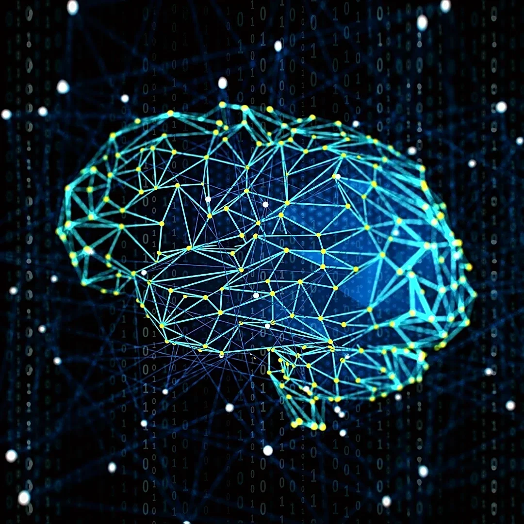 Neural-Network Deep Convection Scheme Improves Precipitation Variability in Community Atmosphere Model