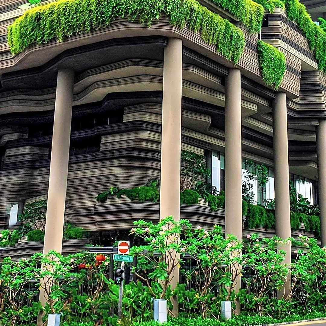 Singaporean Urban Farming Enterprise Transforms Rooftops into Edible Landscapes