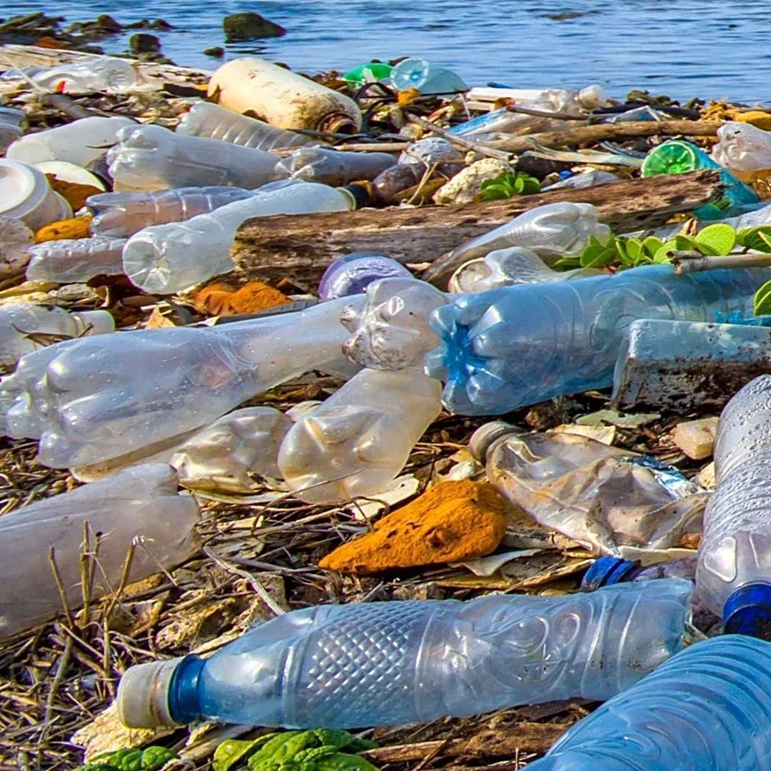 International Science Council Reports Progress in Plastics Treaty Negotiations
