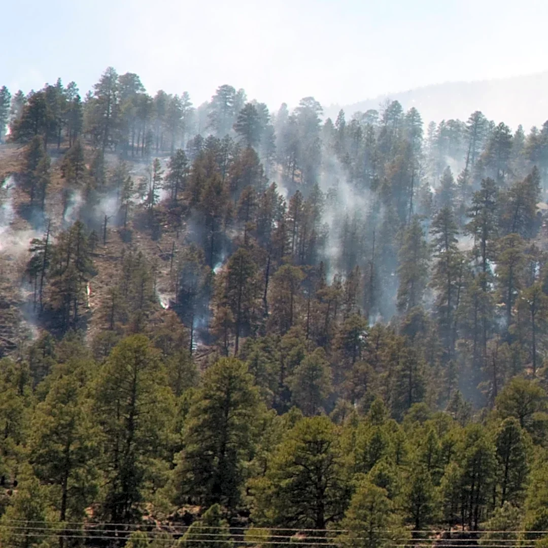 Lone Peak Fire District Advises Public on Prescribed Burn in Alpine, Utah
