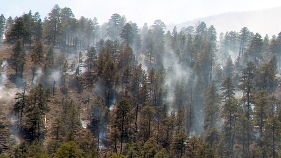 Lone Peak Fire District Advises Public on Prescribed Burn in Alpine, Utah