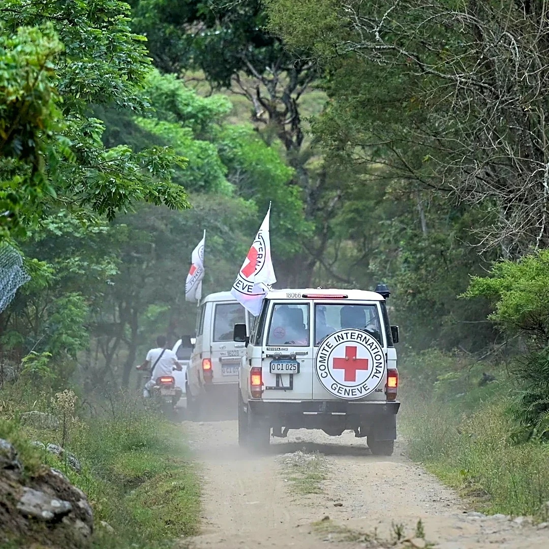 International Federation of Red Cross and Red Crescent Societies Seeks Senior Consultant for Measles and Rubella Vaccination Activities
