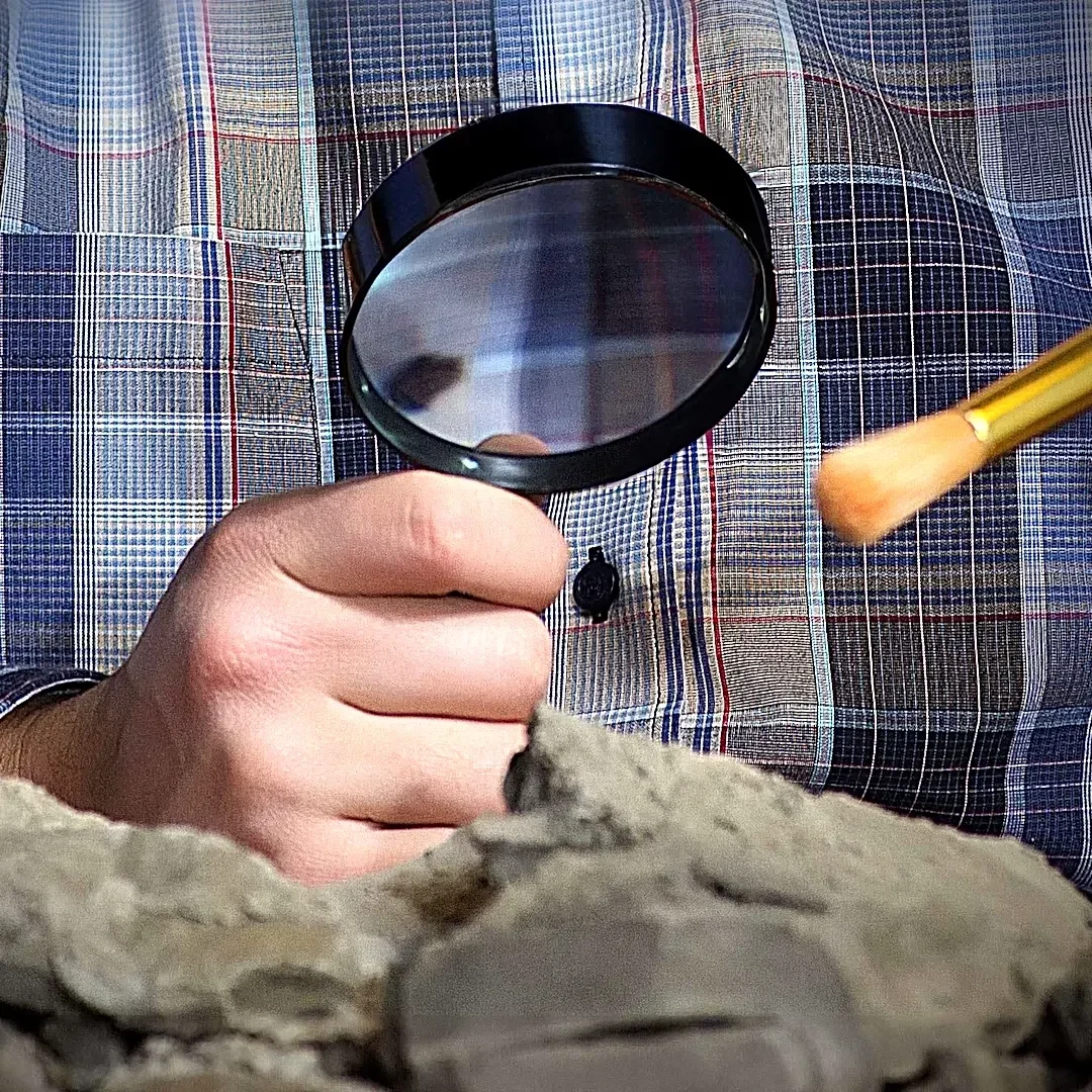 California Geologist Discovers 10,000-Year-Old Mastodon Tooth in Creek