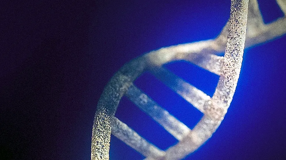MTHFR Gene Variants Common, Clinical Utility for Routine Testing Questioned by Australian Medical Bodies