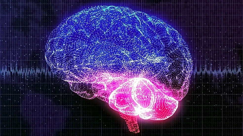 Silence's Impact on the Human Brain: Research Explores Neural Effects Beyond Subjective Experience