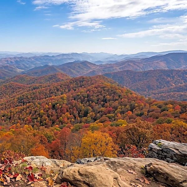 East Tennessee State University Reports Peak Fall Color Expected in Tri-Cities Region