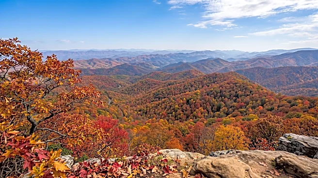 East Tennessee State University Reports Peak Fall Color Expected in Tri-Cities Region