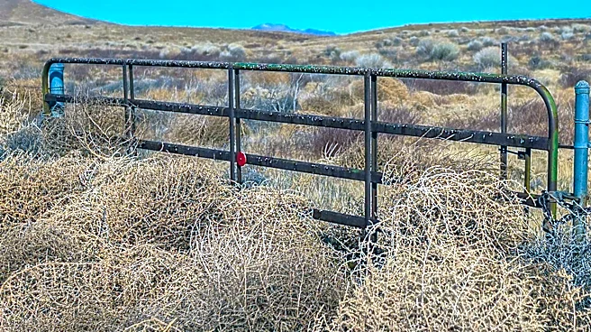 BLM Seeks Solution for Public Access Road Blocked by Red Creek Ranch Landowner