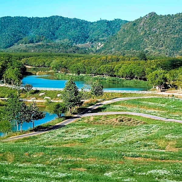 Land Trust of Napa County Acquires 436-Acre Property in Knoxville Wildlife Area for Conservation