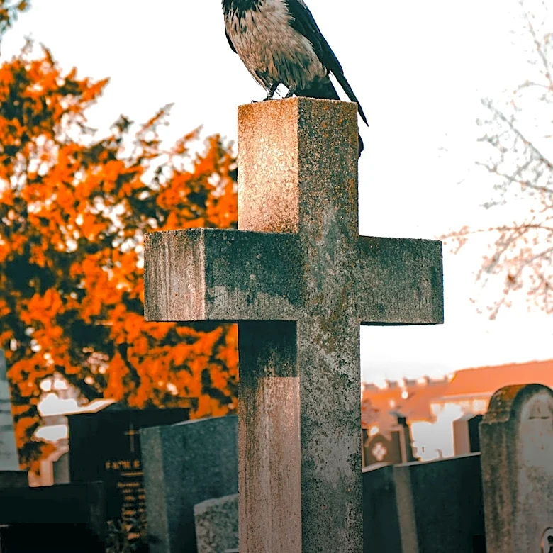 Uncertainty Surrounds Burials in Wilson's Historic Vick Cemetery