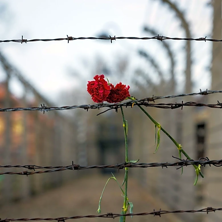 Senator Steve Daines Visits Auschwitz with Rabbi Chaim Bruk