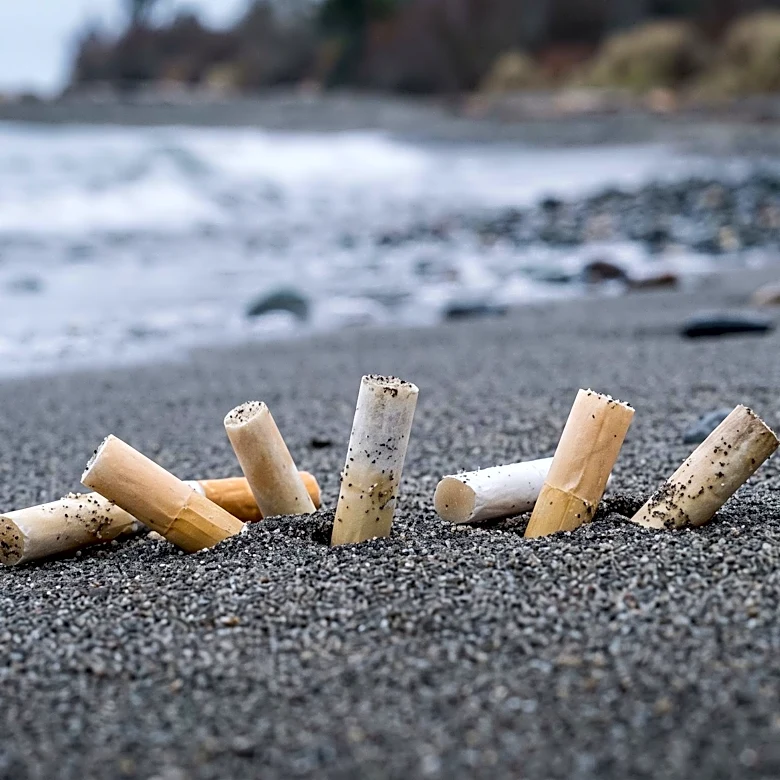 Lakehead University Research Identifies Cigarette Butts as Primary Source of Microplastic Pollution in Freshwater Environments