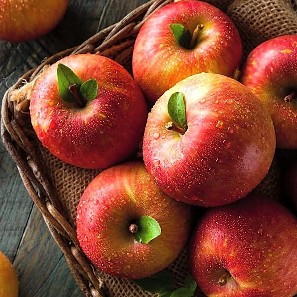 Splendor Apples: A Rare Heirloom Variety with New Zealand Origins
