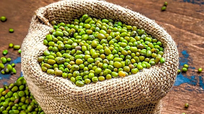 Vitamin Cottage Natural Food Markets Recalls Organic Mung Beans Nationwide Due to Glass Contamination Risk