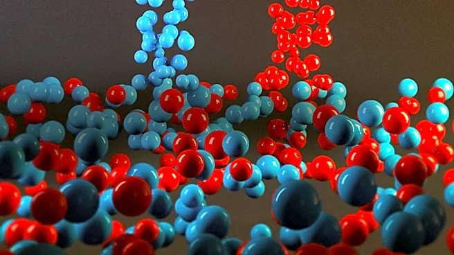 Johns Hopkins Engineers Develop Magnetic Millirobots for Targeted Heart Drug Delivery