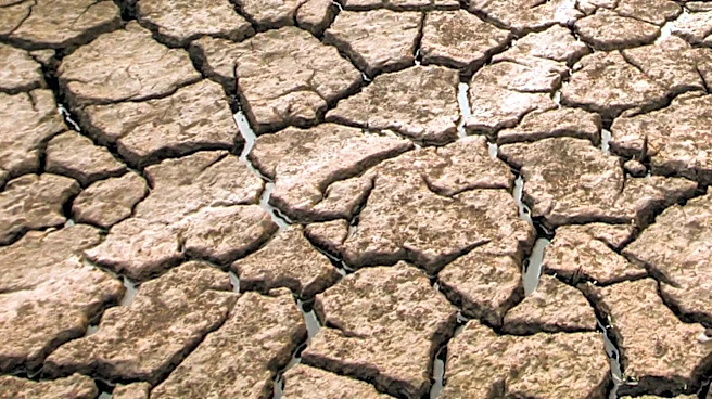 Charlotte Landscaper Adapts to Drought Conditions with Water Conservation Strategies